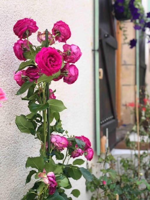 Gite "La Belle Vie" Chamblet エクステリア 写真
